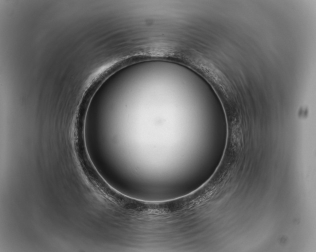 X0000098040536200804181259