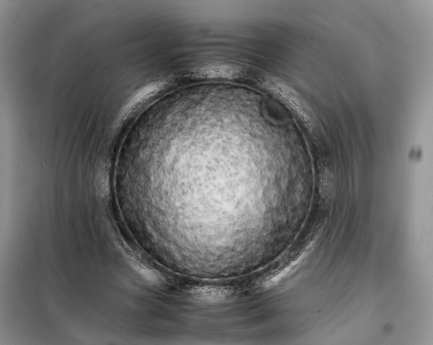 X0000098040537200804181259