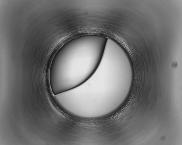 X0000098040538200804181259