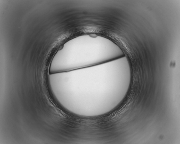 X0000098040539200804181259