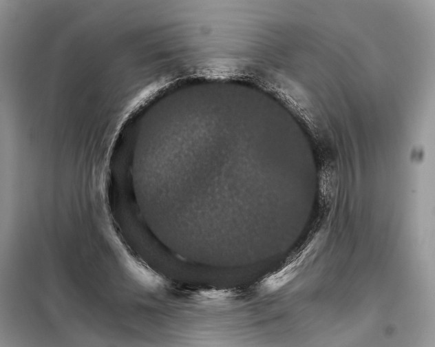 X0000098040540200804181259