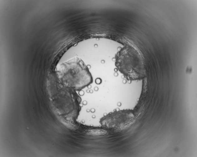 X0000098040541200804181259