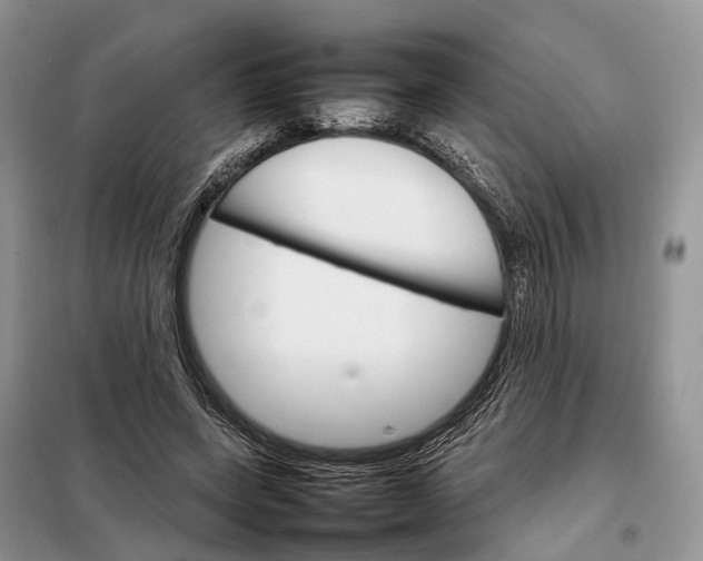 X0000098040543200804181259