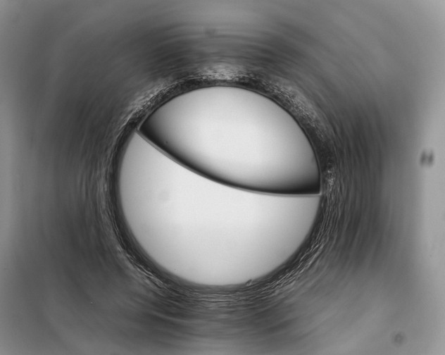 X0000098040544200804181259