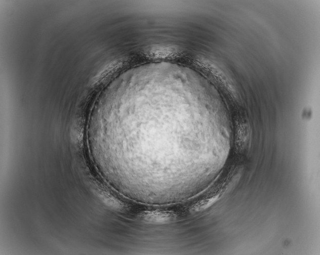 X0000098040545200804181259