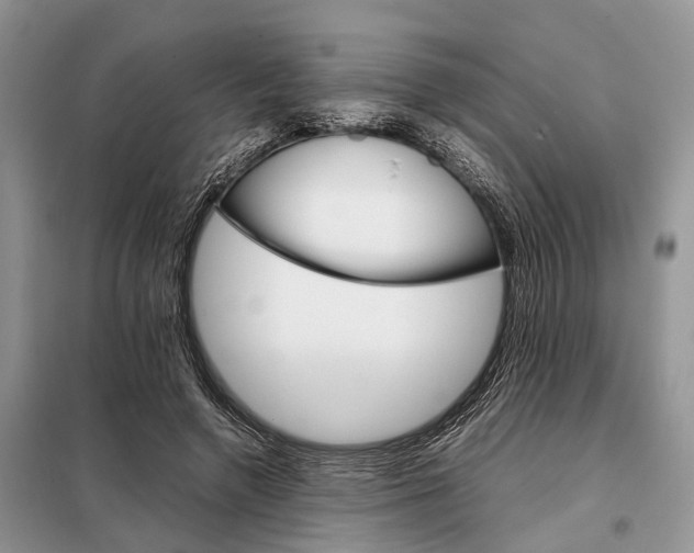 X0000098040546200804181259