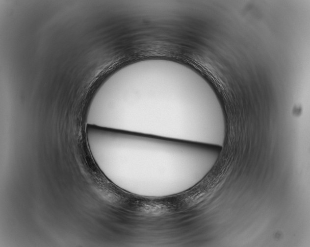 X0000098040547200804181259