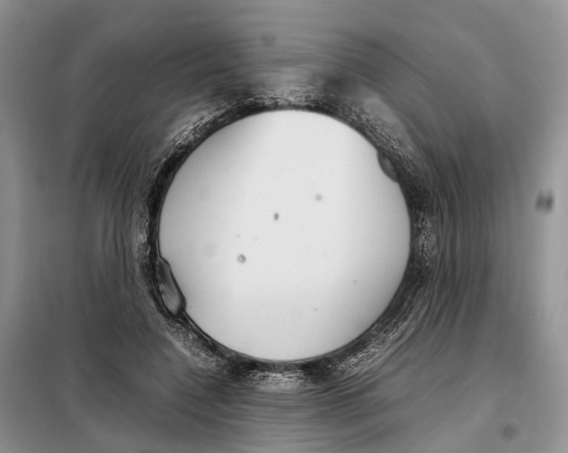 X0000098040548200804181259