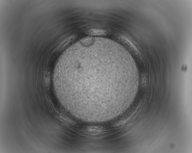 X0000098040549200804181259