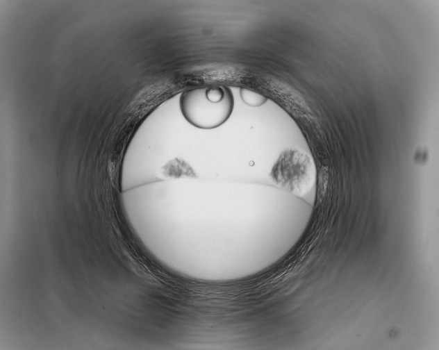 X0000098040550200804181259