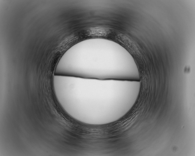 X0000098040551200804181259