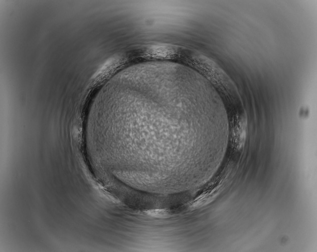 X0000098040552200804181259