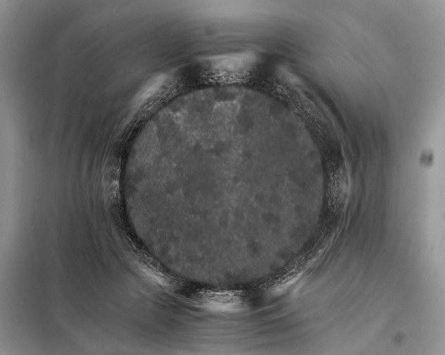 X0000098040553200804181259