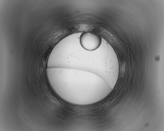 X0000098040554200804181259