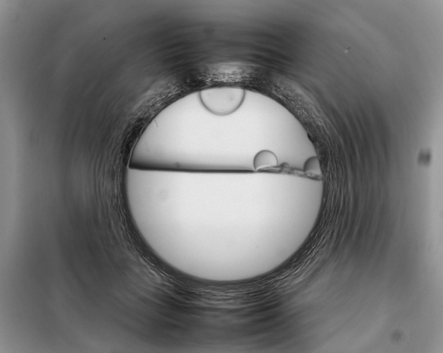 X0000098040555200804181259