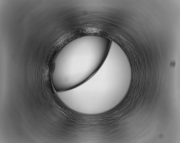 X0000098040556200804181259