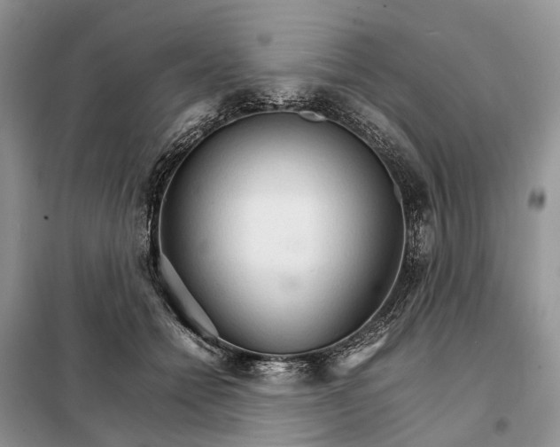 X0000098040558200804181259