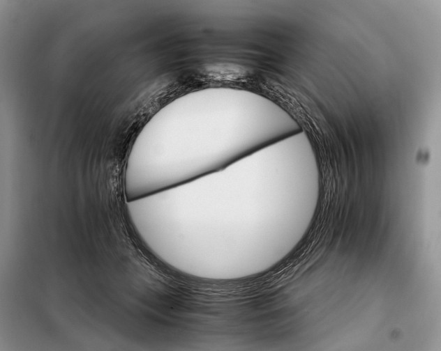 X0000098040559200804181259