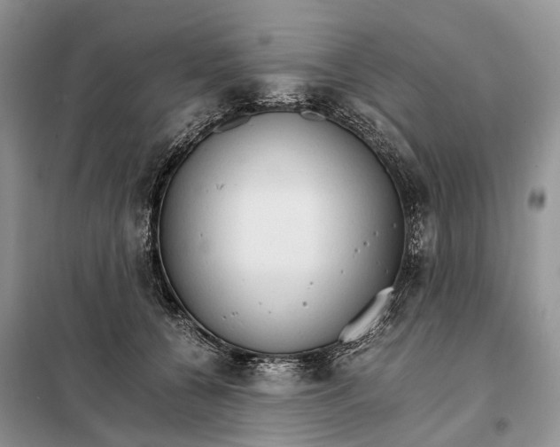 X0000098040560200804181259