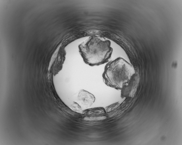 X0000098040561200804181259