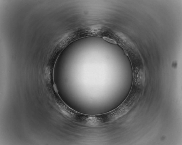 X0000098040562200804181259