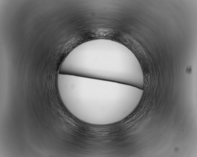 X0000098040563200804181259