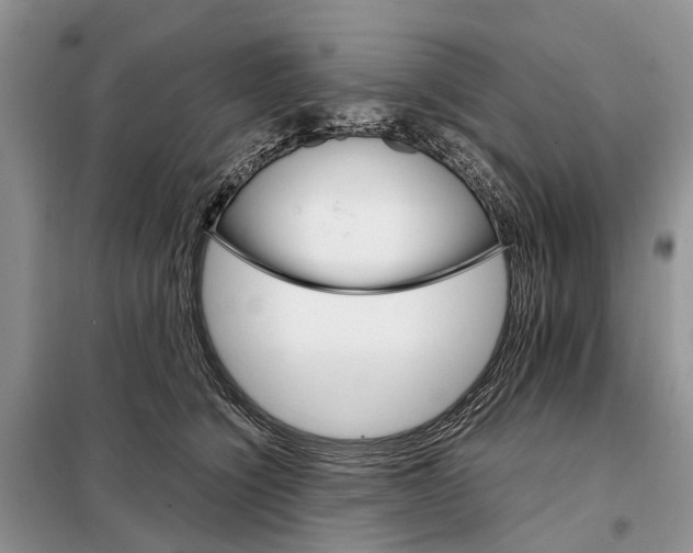 X0000098040564200804181259