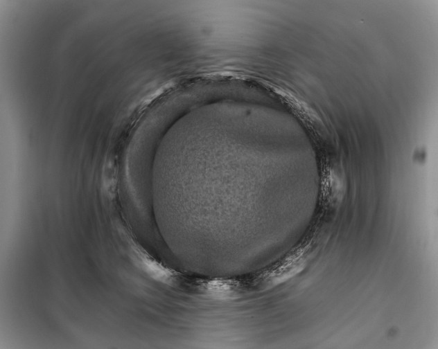 X0000098040566200804181259