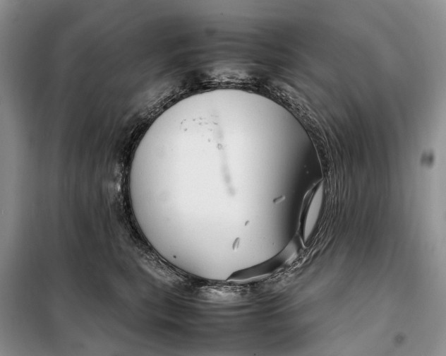 X0000098040567200804181259