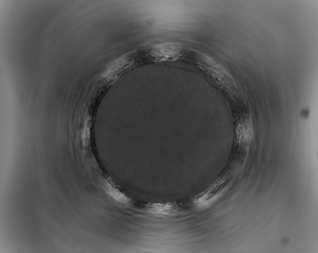 X0000098040570200804181259