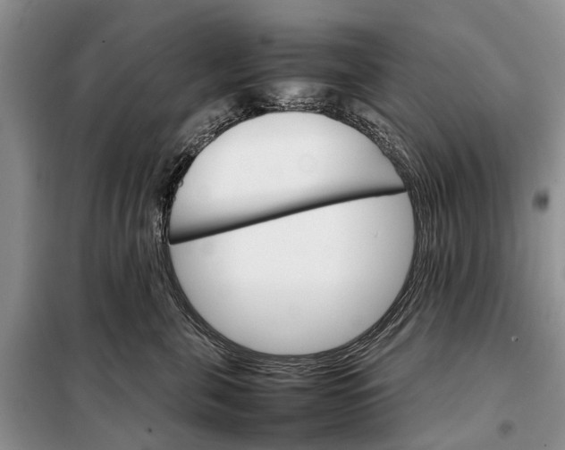 X0000098040571200804181259