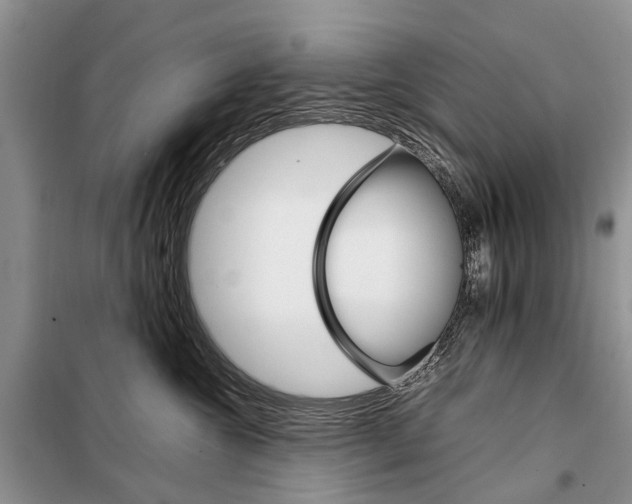 X0000098040572200804181259