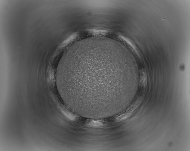 X0000098040573200804181259