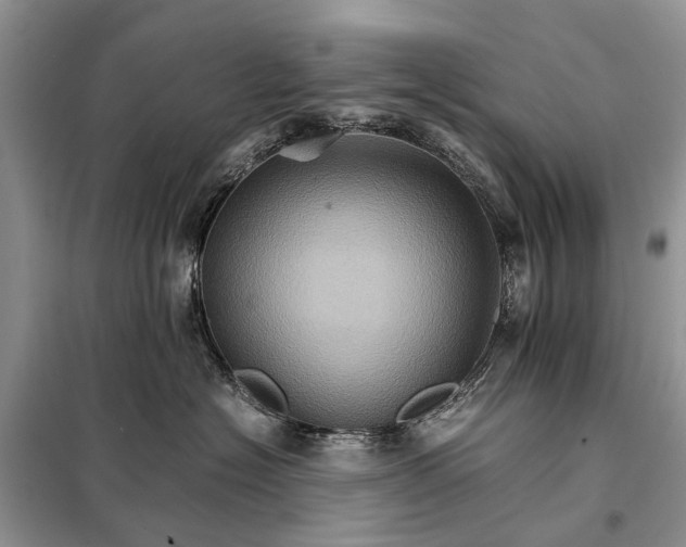 X0000098040574200804181259