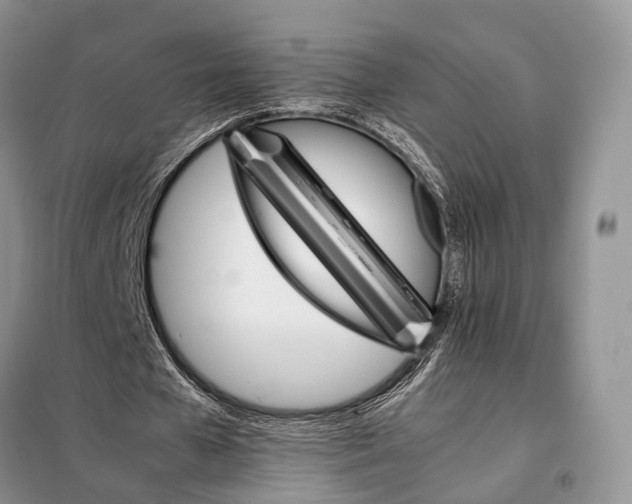 X0000098040577200804181258