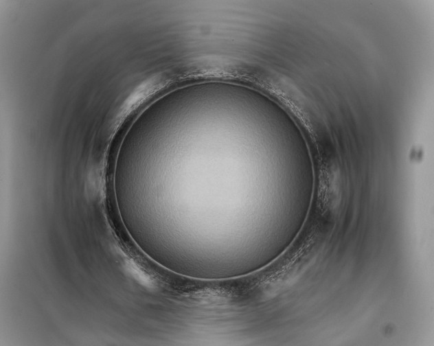 X0000098040578200804181258