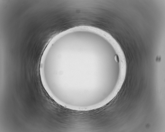 X0000098040579200804181258