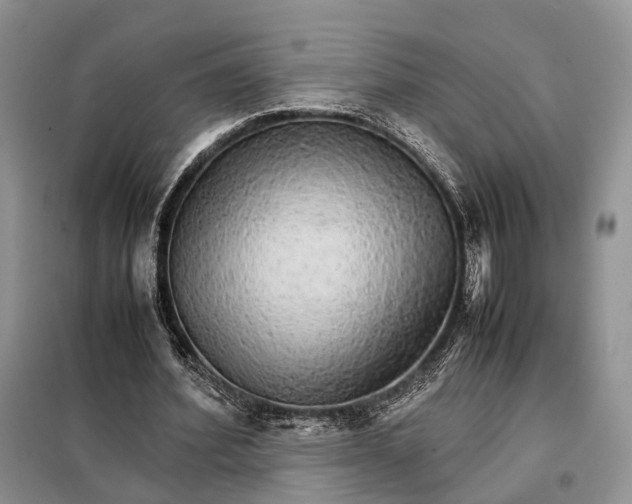 X0000098040580200804181258