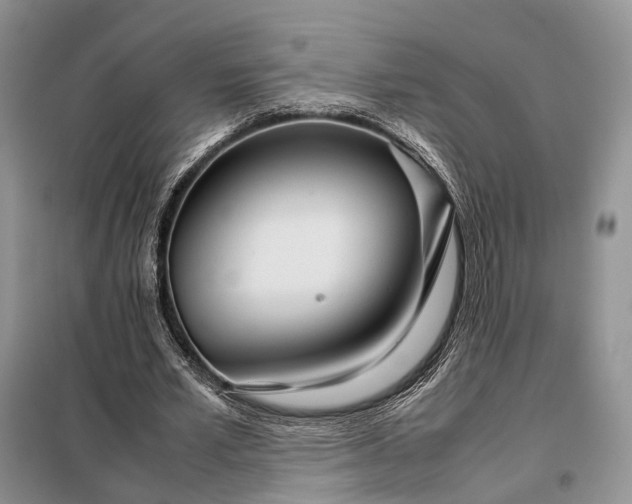 X0000098040581200804181258