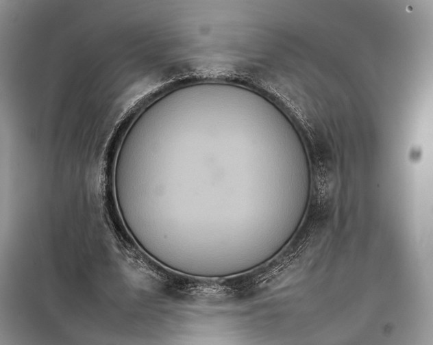 X0000098040583200804181258