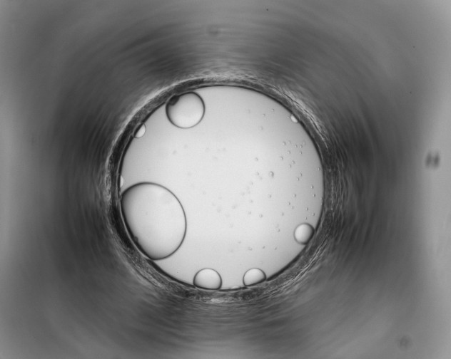 X0000098040584200804181258