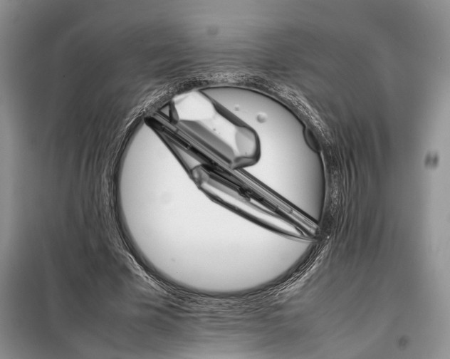 X0000098040585200804181258