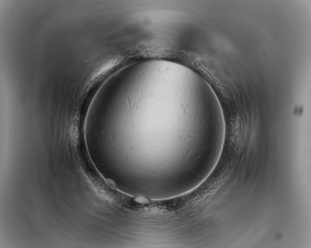 X0000098040586200804181258