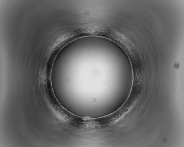 X0000098040587200804181258