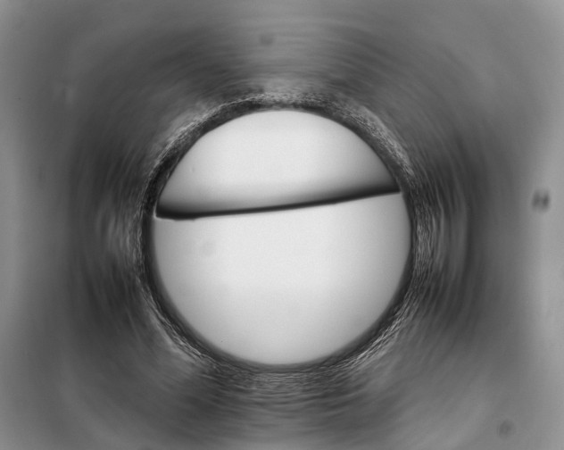 X0000098040588200804181258