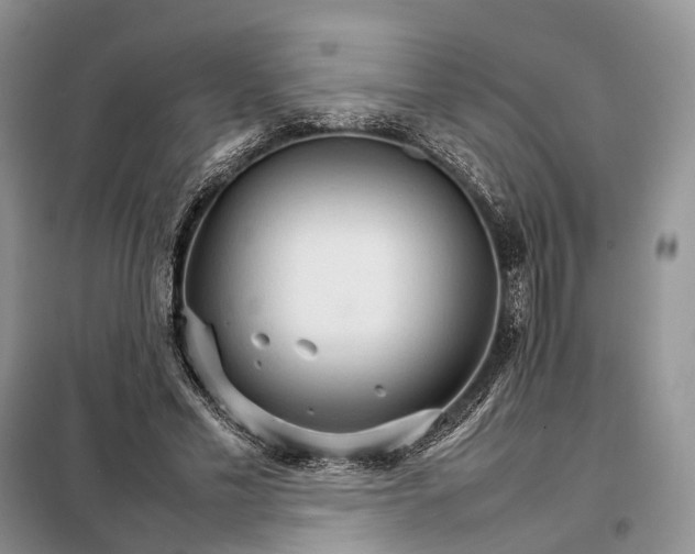 X0000098040589200804181258