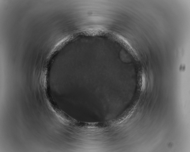 X0000098040590200804181258