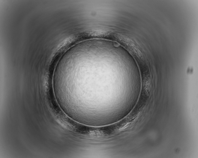 X0000098040591200804181258