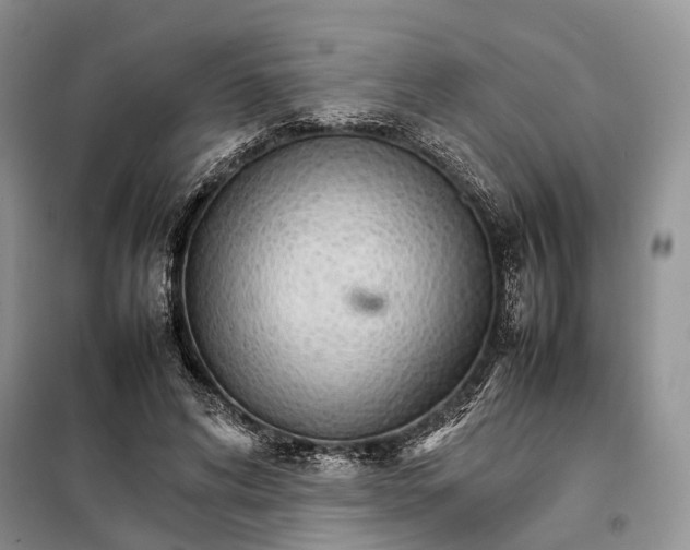 X0000098040592200804181258