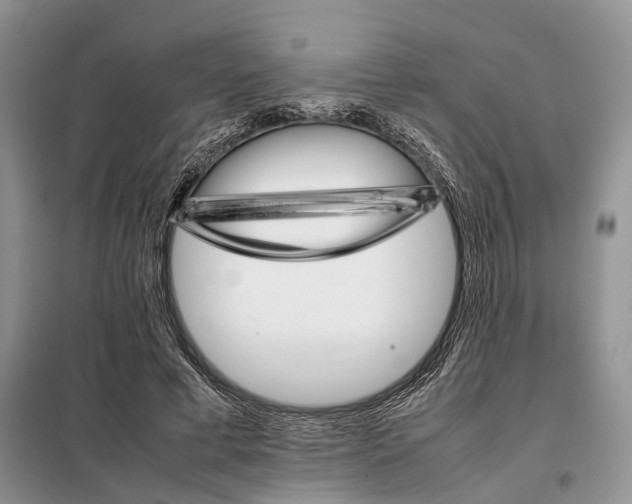 X0000098040593200804181258